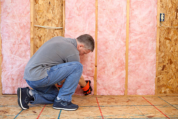 Best Insulation Maintenance and Repair in Country Clu, MO