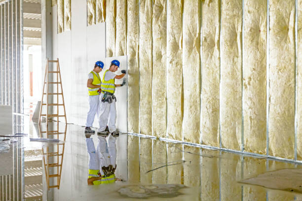 Best Commercial Insulation in Country Clu, MO